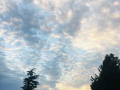 -洨河生态公园