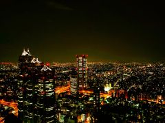 -东京都厅舍