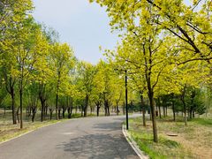 -东郊湿地公园