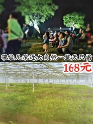 -麦粒鸟亲子游