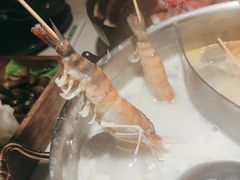 -椰子湾·海南火锅·糟粕醋·椰子鸡(正大广场店)