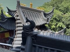-龙泉洞(沙坪坝区)