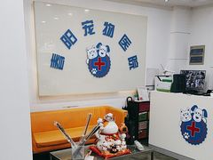 -暖阳宠物医院·犬猫康复中心·骨科