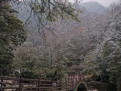 -西岭雪山大飞水景区