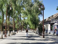 -张掖大佛寺景区