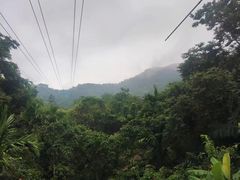 -呀诺达热带雨林
