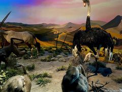 -国家自然博物馆