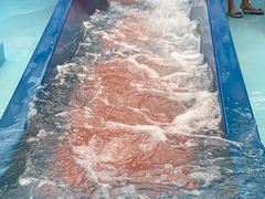 -水立方嬉水乐园
