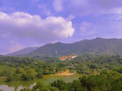 -深圳仙湖植物园