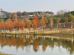 -东莞植物园