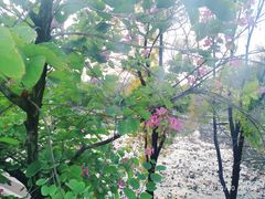 -人民公园(罗湖区)