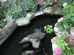 -谷咖啡·鲜花绿植花园餐厅