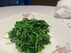 茅台嫩豆苗-金茂君悦·金茂俱乐部中餐厅