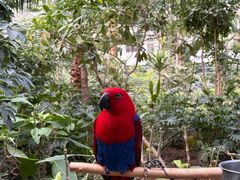 -南宫五洲植物乐园