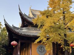 -龙华素斋(龙华路店)