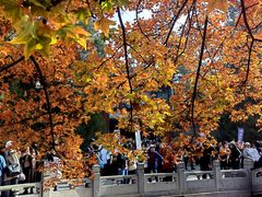 -香山公园