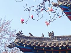 -碑林公园