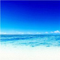 -薇兰专业脱毛连锁机构