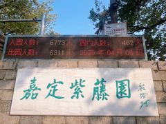 -嘉定紫藤园