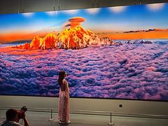 -罗红摄影艺术馆