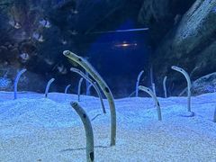 -海合安成都极地海洋公园