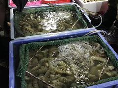 海鲜档-都斛海鲜街