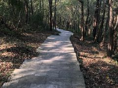 -南京金牛湖风景区