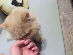 -小时光咖啡馆(开森度假森林店)