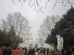 -洛阳郁金香牡丹园