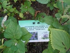 -昆山城市生态森林公园