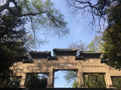 -灵谷景区
