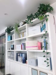 -瓷肌博士·祛痘科技美肤