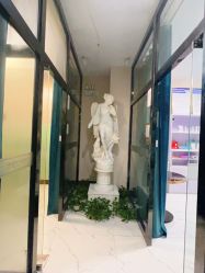-南宁维密整形·王敦华眼鼻整复中心