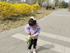 -西海子公园