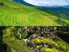 -龙脊梯田