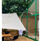 探店｜带着我的小狗打卡陈伟霆同款咖啡店☕️ 