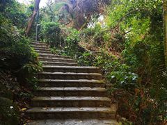 -燕晗山郊野公园