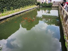 -宁波市保国寺古建筑博物馆