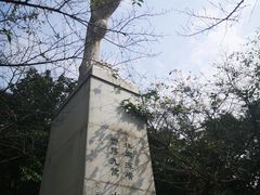 -武汉大学-樱园