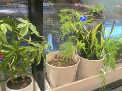 -懒人盐府人家(航天桥店)