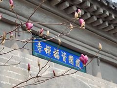 -红螺寺