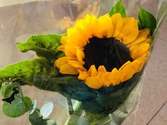 -海珠新都荟城光荟(海珠店)