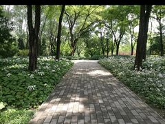 -玲珑塔公园