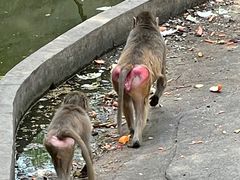 -常州淹城野生动物世界