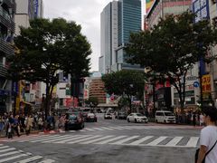 -涩谷区