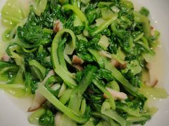 ws香菇鸡毛菜-辛香汇(飞洲店)