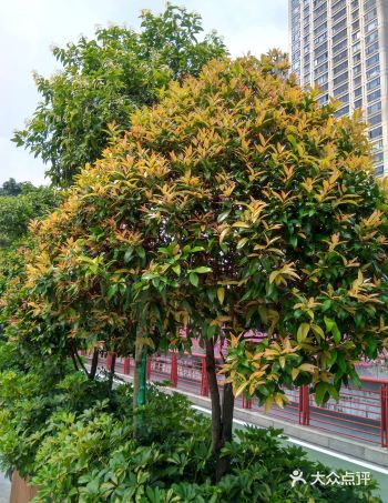 秋天是一年中最美的季节，这个季节特别适合出来旅游
