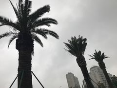 -宁波杉井奥特莱斯广场