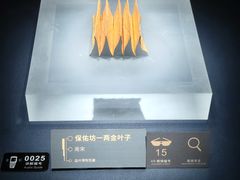 -温州博物馆