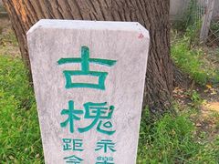 -大厂清真寺